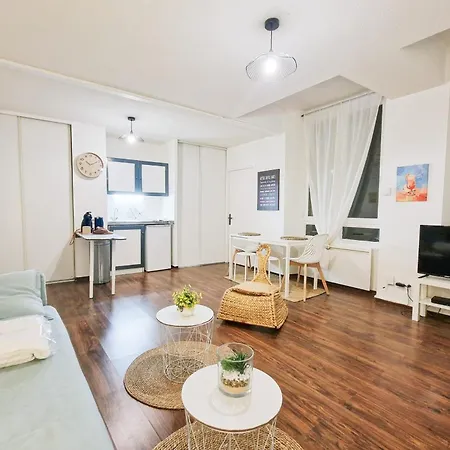 Very Quiet&spacious Center #l8 * Grenoble